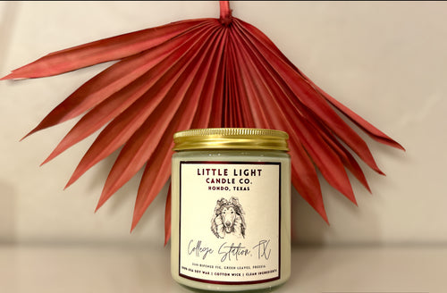 College Station Tx Little Light Co Candle 8 oz