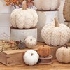 Knitted Pumpkin Set