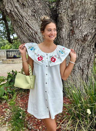 Sophia Embroidered Dress