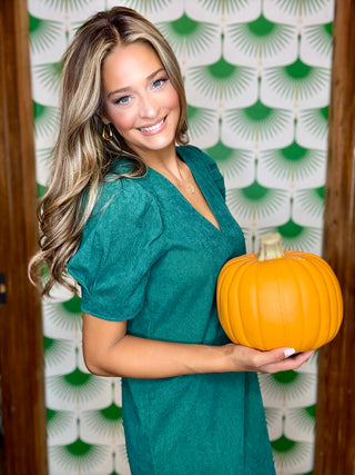 Camille Puff Sleeve Dress