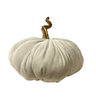 Velvet White Pumpkin