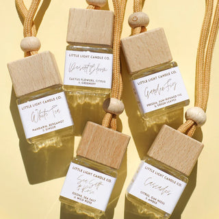 Little Light Garden Fig Hanging Car Diffusers