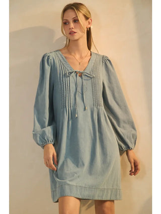 The Chic Denim Dress- Extended Size