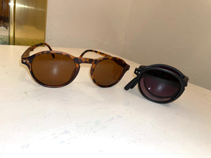 Foldable Tortoise Sunglasses